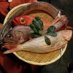 海鮮出汁居酒屋　淡路島の恵み だしや - ざる見せ