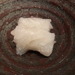 くら川 - あおりいか