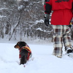 プチホテル・フットルース - 