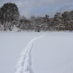 プチホテル・フットルース - 