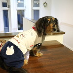 プチホテル・フットルース - 