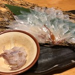 銀座 魚ばか - イカちゃん