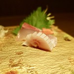 瀬戸内鮮魚料理店 - ［2018/12］刺し盛り・オリーブはまち