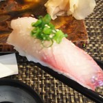 玄海鮨 - カンパチ です