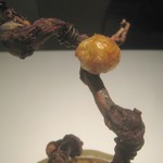 AZUR et MASA UEKI - アミューズ（一口パイの実）