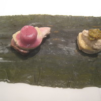 AZUR et MASA UEKI - 寒鰤、紅くるり大根、スミイカ