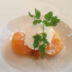 ぽるとカーブドッチ - 