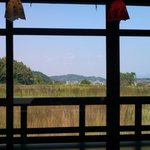 川原寺 花つばき - 遠く大和三山が望めます