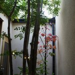 イル ギオットーネ - イル・ギオットーネ