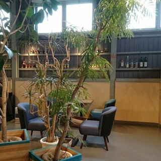 宿カリ チーズケーキ_2