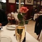 マダム・トキ - 