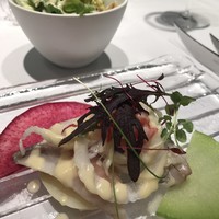 l'intemporel - 