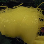 宝寿司分店 - イカ刺しを