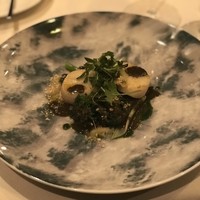 ラ モデスティ - 