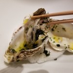 SUGALABO - 佐賀 太良町 おとふせ牡蛎　馬渡島 ゲンコウ