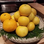 SUGALABO - 馬渡島 ゲンコウ