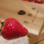 SUGALABO - 奈良 中井農園 いちご"古都華"　