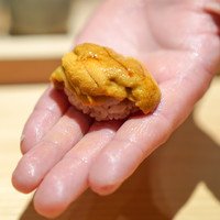 鮨 さかい - 雲丹