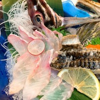 海鮮家 はこだて 本店 - 