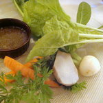 カーサ カルマ - バーニャカウダ