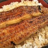 満寿家 - うな重