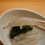 鮨 来多老 - 白魚。リフト(^-^)/