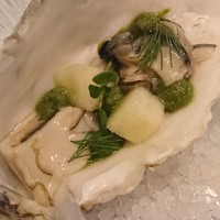 セルサルサーレ - 
