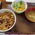 Sukiya - 牛丼（並盛）サラダセット５００円