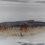 海音里本舗 - 焼きいわし