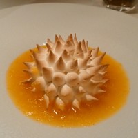 ドミニク・ブシェ トーキョー - 