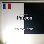Pigeon - 