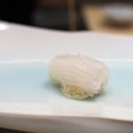 鮨 なんば - アオリイカ