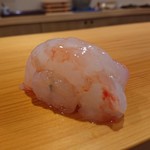 鮨 あらい - ボタンエビ