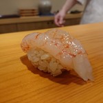 鮨 あらい - シマエビ