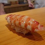 鮨 あらい - 車海老