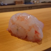 鮨 あらい - ボタンエビ