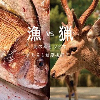 Ima Izakaya Hamayama - お刺身を始めとする海の幸、鹿肉の餃子をはじめとする山の幸、どちらもお楽しみいただけます！！