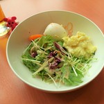 太陽のカフェ - 野菜の前菜（サラダビュッフェ）