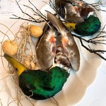 プレゼンテ スギ - 見せ青首鴨