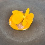 プレゼンテ スギ - ③青首のレバー・ハツ・砂肝・血のペースト マンゴーと薔薇のソース ビオラ