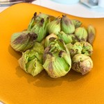 プレゼンテ スギ - 見せフキノトウ