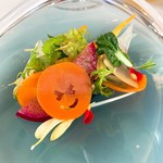 プレゼンテ スギ - ⑮Sugi畑をお皿に乗せて（海洋深層水でガストロバックした根菜などのサラダ）