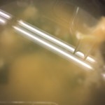 松屋 - お味噌汁
