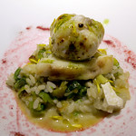 ドディチ・マッジョ - 