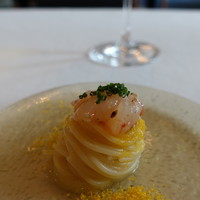 サーラ アマービレ - 