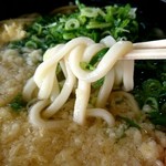 Iyoseimen - うどん