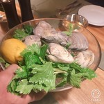 アッピア - ハマグリの紹介