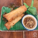 アムリタ食堂 - 春巻き