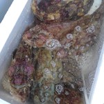 廻鮮寿司 塩釜港 - ボッケ(ケムシカジカ)