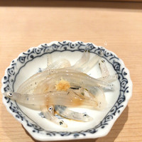 匠　達広 - 白魚